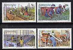 Venda 1980 Tea Cultivation set of 4 unmounted mint, SG 26-29, stamps on drink, stamps on  tea , stamps on 