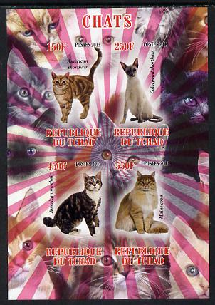 Chad 2013 Domestic Cats imperf sheetlet containing 4 values unmounted mint, stamps on cats