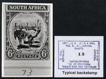 South Africa 1922 KG5 Pictorial issue B&W photograph of original essay for Ostrich denominated 6d approximately twice stamp-size. Official photograph from the original ar..., stamps on , stamps on  kg5 , stamps on ostriches
