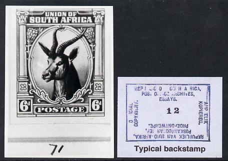 South Africa 1923 KG5 Pictorial issue B&W photograph of original Springbok essay denominated 6d (inscribed in English) approximately twice stamp-size. Official photograph from the original artwork held by the Government Printer in Pretoria with authority handstamp on the back, one of only 30 produced., stamps on , stamps on  stamps on , stamps on  stamps on  kg5 , stamps on  stamps on animals