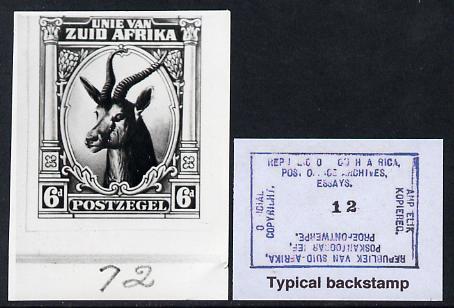 South Africa 1923 KG5 Pictorial issue B&W photograph of original Springbok essay denominated 6d (inscribed in Afrikaans) approximately twice stamp-size. Official photogra..., stamps on , stamps on  kg5 , stamps on animals