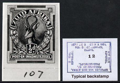 South Africa 1926-27 issue B&W photograph of original 1/2d Springbok essay inscribed in Afrikaans, approximately twice stamp-size slightly different to issued stamp which..., stamps on , stamps on  kg5 , stamps on animals