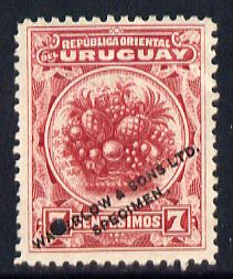 Uruguay 1900 7c Printers sample in red (issued stamp was orange-brown) overprinted Waterlow & Sons SPECIMEN with security punch hole without gum, as SG 233, stamps on fruit