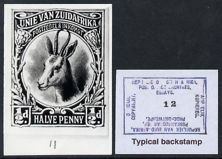 South Africa 1926-27 issue B&W photograph of original 1/2d Springbok essay inscribed in Afrikaans, approximately twice stamp-size. Official photograph from the original artwork held by the Government Printer in Pretoria with authority handstamp on the back, one of only 30 produced., stamps on , stamps on  stamps on , stamps on  stamps on  kg5 , stamps on  stamps on animals