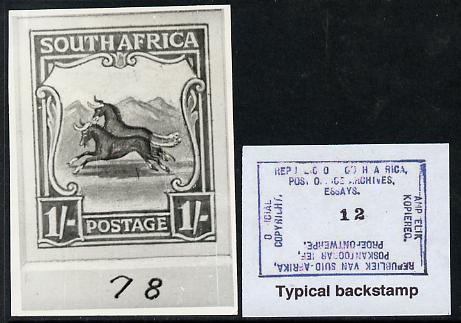 South Africa 1926-27 issue B&W photograph of original 1s Wildebeest essay inscribed in English, approximately twice stamp-size. Official photograph from the original artwork held by the Government Printer in Pretoria with authority handstamp on the back, one of only 30 produced., stamps on , stamps on  stamps on , stamps on  stamps on  kg5 , stamps on  stamps on animals, stamps on  stamps on bovine