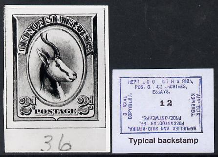 South Africa 1926-27 issue B&W photograph of original 2d Springbok essay inscribed in English, approximately twice stamp-size. Official photograph from the original artwork held by the Government Printer in Pretoria with authority handstamp on the back, one of only 30 produced., stamps on , stamps on  stamps on , stamps on  stamps on  kg5 , stamps on  stamps on animals