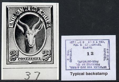 South Africa 1926-27 issue B&W photograph of original 2d Springbok essay inscribed in Afrikaans, approximately twice stamp-size. Official photograph from the original art..., stamps on , stamps on  kg5 , stamps on animals