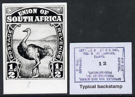South Africa 1926-27 issue Perkins Bacon B&W photograph of original 1/2d Ostrich essay inscribed in English approximately twice stamp-size. Official photograph from the original artwork held by the Government Printer in Pretoria with authority handstamp on the back, one of only 30 produced., stamps on , stamps on  stamps on , stamps on  stamps on  kg5 , stamps on  stamps on animals, stamps on  stamps on ostriches