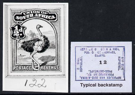 South Africa 1926-27 issue Public Works Dept B&W photograph of original 1/2d Ostrich essay inscribed in English, approximately twice stamp-size. Official photograph from the original artwork held by the Government Printer in Pretoria with authority handstamp on the back, one of only 30 produced., stamps on , stamps on  stamps on , stamps on  stamps on  kg5 , stamps on  stamps on ostriches