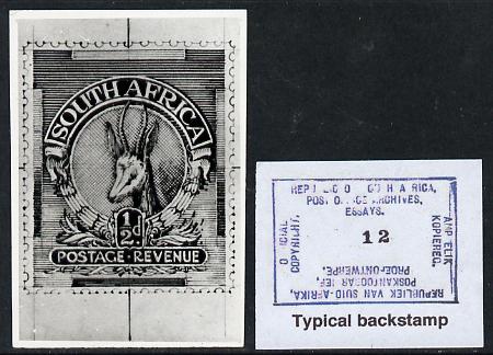 South Africa 1926-27 issue Public Works Dept B&W photograph of original 1/2d Springbok essay inscribed in English approximately twice stamp-size slightly different to issued stamp which is included. Official photograph from the original artwork held by the Government Printer in Pretoria with authority handstamp on the back, one of only 30 produced., stamps on , stamps on  stamps on , stamps on  stamps on  kg5 , stamps on  stamps on animals