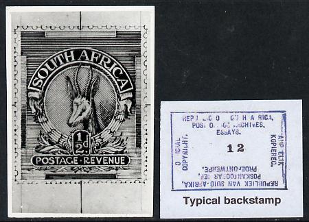 South Africa 1926-27 issue Public Works Dept B&W photograph of original 1/2d Springbok essay inscribed in English approximately twice stamp-size slightly different to iss..., stamps on , stamps on  kg5 , stamps on animals