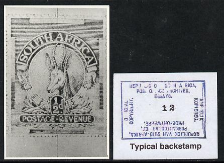 South Africa 1926-27 issue Public Works Dept B&W photograph of original 1/2d Springbok essay inscribed in English approximately twice stamp-size slightly different to issued stamp which is included. Official photograph from the original artwork held by the Government Printer in Pretoria with authority handstamp on the back, one of only 30 produced., stamps on , stamps on  stamps on , stamps on  stamps on  kg5 , stamps on  stamps on animals