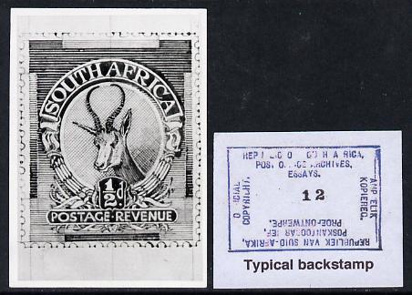 South Africa 1926-27 issue Public Works Dept B&W photograph of original 1/2d Springbok essay inscribed in English approximately twice stamp-size slightly different to issued stamp which is included. Official photograph from the original artwork held by the Government Printer in Pretoria with authority handstamp on the back, one of only 30 produced., stamps on , stamps on  stamps on , stamps on  stamps on  kg5 , stamps on  stamps on animals