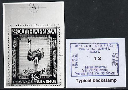 South Africa 1926-27 issue Public Works Dept B&W photograph of original 1/2d Ostrich essay inscribed in English, approximately twice stamp-size. Official photograph from ..., stamps on , stamps on  kg5 , stamps on ostriches