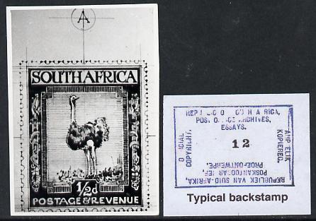 South Africa 1926-27 issue Public Works Dept B&W photograph of original 1/2d Ostrich essay inscribed in English, approximately twice stamp-size. Official photograph from the original artwork held by the Government Printer in Pretoria with authority handstamp on the back, one of only 30 produced., stamps on , stamps on  stamps on , stamps on  stamps on  kg5 , stamps on  stamps on ostriches