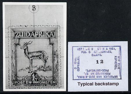South Africa 1926-27 issue Public Works Dept B&W photograph of original 1d Springbok essay inscribed in Afrikaans approximately twice stamp-size. Official photograph from the original artwork held by the Government Printer in Pretoria with authority handstamp on the back, one of only 30 produced., stamps on , stamps on  stamps on , stamps on  stamps on  kg5 , stamps on  stamps on animals