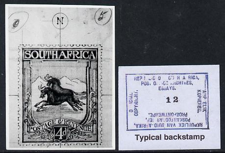 South Africa 1926-27 issue Public Works Dept B&W photograph of original 4d Wildebeest essay inscribed in English, approximately twice stamp-size. Official photograph from the original artwork held by the Government Printer in Pretoria with authority handstamp on the back, one of only 30 produced., stamps on , stamps on  stamps on , stamps on  stamps on  kg5 , stamps on  stamps on animals