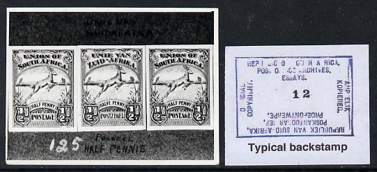 South Africa 1926-27 issue B&W photograph of original 1/2d Springbok essays in strip of 3. Official photograph from the original artwork held by the Government Printer in Pretoria with authority handstamp on the back, one of only 30 produced., stamps on , stamps on  stamps on , stamps on  stamps on  kg5 , stamps on  stamps on animals