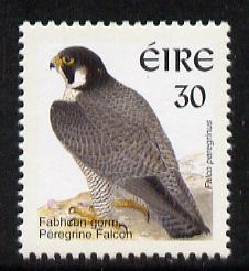 Ireland 1997-2000 Birds - Peregrine Falcon 30p unmounted mint SG 1046, stamps on birds, stamps on falcons, stamps on birds of prey