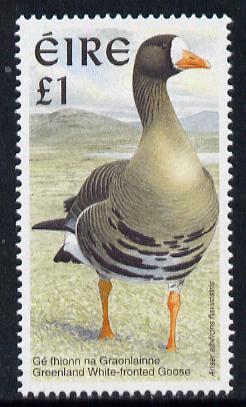 Ireland 1997-2000 Birds - White Fronted Goose 1 unmounted mint SG 1060, stamps on birds, stamps on goose