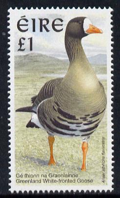 Ireland 1997-2000 Birds - White Fronted Goose £1 unmounted mint SG 1060, stamps on , stamps on  stamps on birds, stamps on  stamps on goose