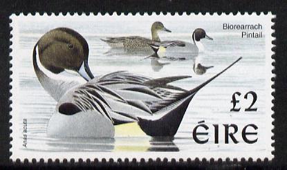Ireland 1997-2000 Birds - Pintail A32 unmounted mint SG 1061, stamps on , stamps on  stamps on birds, stamps on  stamps on pintail
