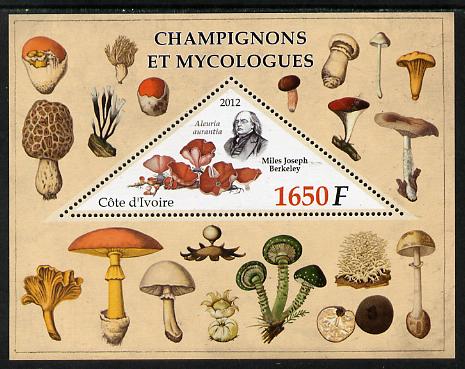 Ivory Coast 2012 Fungi & Mycologists perf m/sheet containing 1 triangular value unmounted mint, stamps on , stamps on  stamps on fungi, stamps on  stamps on 