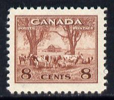 Canada 1942-48 KG6 War Effort 8c Cattle unmounted mint SG 382, stamps on , stamps on  stamps on agriculture  animals  food, stamps on  stamps on  kg6 , stamps on  stamps on  ww2 , stamps on  stamps on 