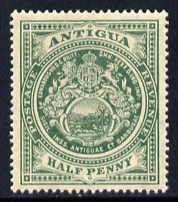 Antigua 1908-17 MCA Badge 1/2d green mounted mint SG 41, stamps on , stamps on  stamps on , stamps on  stamps on  kg5 , stamps on  stamps on badge, stamps on  stamps on 