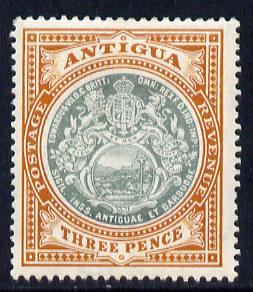 Antigua 1908-17 MCA Badge 3d grey-green & orange-brown mounted mint SG 47, stamps on , stamps on  stamps on , stamps on  stamps on  kg5 , stamps on  stamps on badge, stamps on  stamps on 