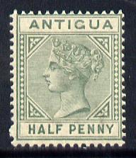 Antigua 1882 QV Crown CA 1/2d green unmounted mint SG 21, stamps on , stamps on  qv , stamps on 