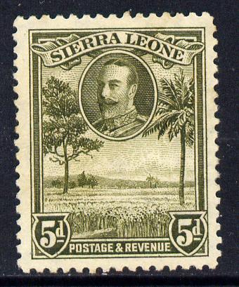Sierra Leone 1932 KG5 Pictorial 5d bronze-green mounted mint SG 161, stamps on , stamps on  kg5 , stamps on rice.