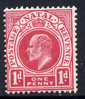 Natal 1904-08 KE7 MCA Postage-Revenue 1d rose-carmine mounted mint SG 147, stamps on , stamps on  ke7 , stamps on 