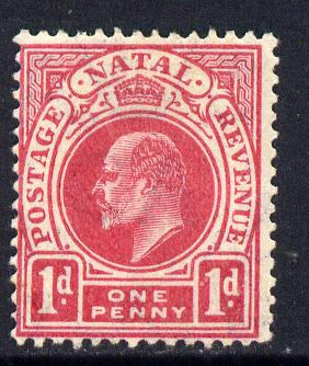 Natal 1904-08 KE7 MCA Postage-Revenue 1d deep carmine mounted mint SG 148, stamps on , stamps on  stamps on , stamps on  stamps on  ke7 , stamps on  stamps on 