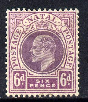 Natal 1908-09 KE7 MCA Postage-Postage 6d dull & bright purple mounted mint SG 165, stamps on , stamps on  ke7 , stamps on 