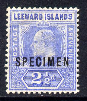 Leeward Islands 1907-11 KE7 MCA 2.5d bright blue overprinted SPECIMEN fine with gum and only about 400 produced SG 40s, stamps on , stamps on  stamps on , stamps on  stamps on  ke7 , stamps on  stamps on specimen