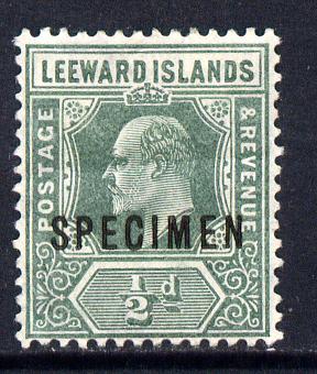 Leeward Islands 1907-11 KE7 MCA 1/2d dull green overprinted SPECIMEN fine with gum and only about 400 produced SG 37s, stamps on , stamps on  stamps on , stamps on  stamps on  ke7 , stamps on  stamps on specimen