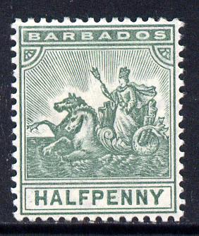 Barbados 1905 Britannia MCA 1/2d dull green mounted mint SG 136, stamps on britannia