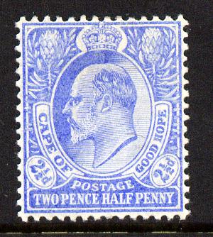 Cape Of Good Hope 1902-04 KE7 2.5d ultramarine mounted mint SG 73, stamps on . ke7 , stamps on 