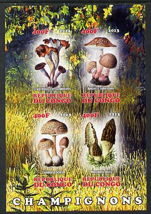 Congo 2013 Fungi #2 imperf sheetlet containing four values unmounted mint, stamps on , stamps on  stamps on fungi