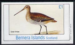 Bernera 1982 Great Snipe imperf souvenir sheet (£1 value) unmounted mint, stamps on birds