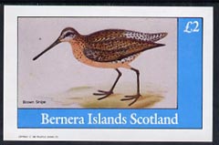 Bernera 1982 Brown Snipe imperf deluxe sheet (£2 value) unmounted mint, stamps on birds
