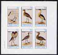 Staffa 1982 Waders (Bittern (2), Plover, Spoonbill, Whimbrel & Ruff) imperf set of 6 values (15p to 75p) unmounted mint, stamps on birds     bittern    plover      spoonbill     ruff