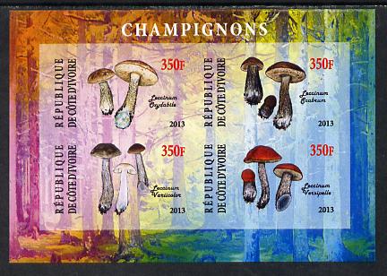 Ivory Coast 2013 Fungi #1 imperf sheetlet containing 4 values unmounted mint, stamps on , stamps on  stamps on fungi