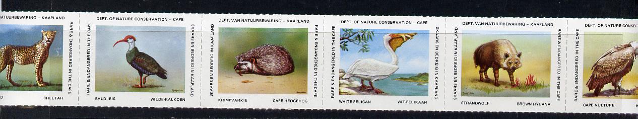 Cinderella - South Africa Rare & Endangered Species #1 horizontal strip of 6 undenominated values unmounted mint, issued by Dept of Nature Conservation, Cape Town, stamps on , stamps on  stamps on cinderella, stamps on  stamps on  wwf , stamps on  stamps on animals, stamps on  stamps on wolves, stamps on  stamps on vultures, stamps on  stamps on birds, stamps on  stamps on cheetah, stamps on  stamps on cats, stamps on  stamps on ibis, stamps on  stamps on hedgehog, stamps on  stamps on pelican