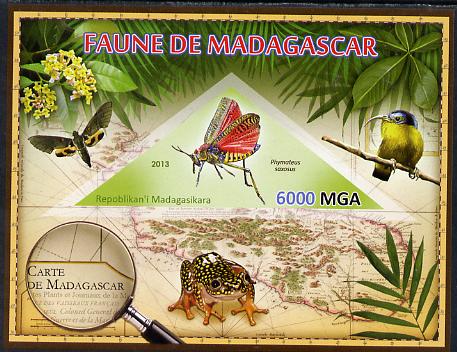 Madagascar 2013 Fauna - Phymateus Grasshopper imperf sheetlet containing one triangular value unmounted mint, stamps on , stamps on  stamps on triangulars, stamps on  stamps on maps, stamps on  stamps on animals, stamps on  stamps on insects, stamps on  stamps on birds, stamps on  stamps on frogs, stamps on  stamps on butterflies