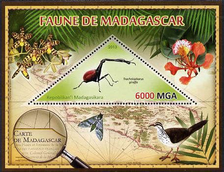 Madagascar 2013 Fauna - Giraffe Weevil perf sheetlet containing one triangular value unmounted mint, stamps on , stamps on  stamps on triangulars, stamps on  stamps on maps, stamps on  stamps on animals, stamps on  stamps on insects, stamps on  stamps on birds, stamps on  stamps on flowers