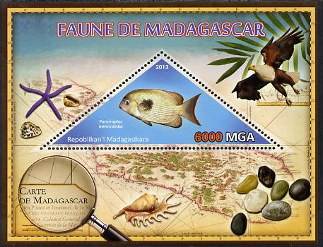 Madagascar 2013 Fauna - Pinstripe Damba Fish perf sheetlet containing one triangular value unmounted mint, stamps on , stamps on  stamps on triangulars, stamps on  stamps on maps, stamps on  stamps on marine life, stamps on  stamps on fish, stamps on  stamps on shells, stamps on  stamps on birds