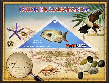 Madagascar 2013 Fauna - Pinstripe Damba Fish imperf sheetlet containing one triangular value unmounted mint, stamps on , stamps on  stamps on triangulars, stamps on  stamps on maps, stamps on  stamps on marine life, stamps on  stamps on fish, stamps on  stamps on shells, stamps on  stamps on birds