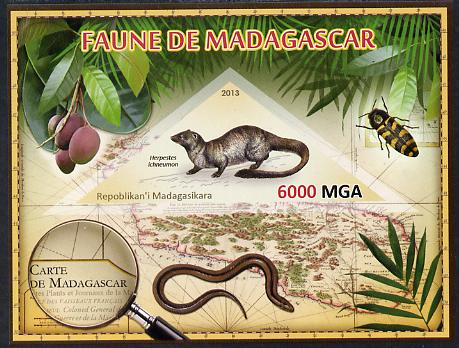 Madagascar 2013 Fauna - Egyptian Mongoose imperf sheetlet containing one triangular value unmounted mint, stamps on , stamps on  stamps on triangulars, stamps on  stamps on maps, stamps on  stamps on animals, stamps on  stamps on insects, stamps on  stamps on mongoose, stamps on  stamps on snakes